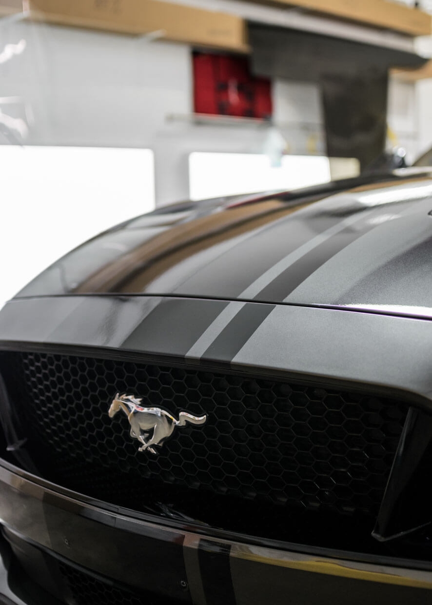 Vinyl decals applied to car